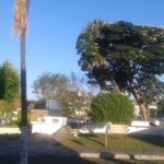 Arquiteta Denuncia Obra Irregular no Largo da Matriz de Pirenópolis - 20170108 191023 1000x600 1