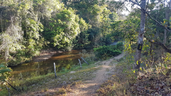 Trilha do Ouro em Pirenópolis: Roteiro Histórico no Rio das Almas