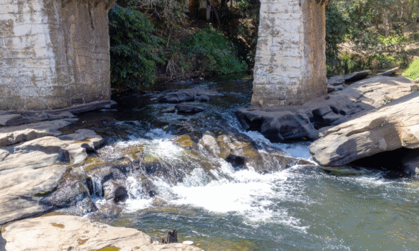 Rio das Almas em Pirenópolis: natureza, história e desafios 14 Rio das Almas em Pirenópolis: natureza, história e desafios