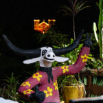 Curucucu e Matriz iluminada na noite de Pirenópolis