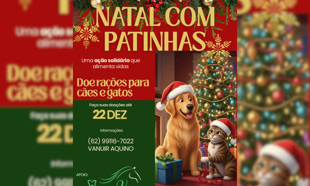 Natal com Patinhas arrecada ração para cães e gatos em Piri