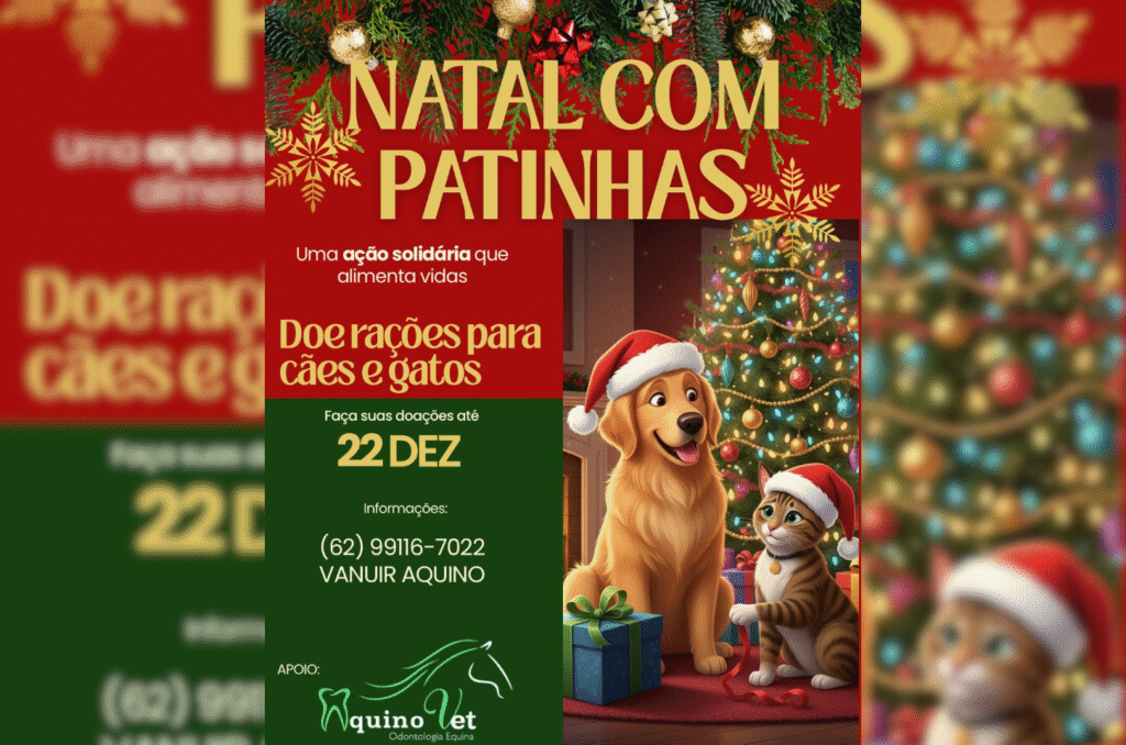Natal com Patinhas arrecada ração para cães e gatos em Piri
