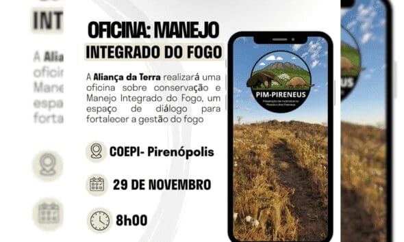 Oficina aborda manejo integrado do fogo em Pirenópolis - Fotos pequenas Portal Piri 14