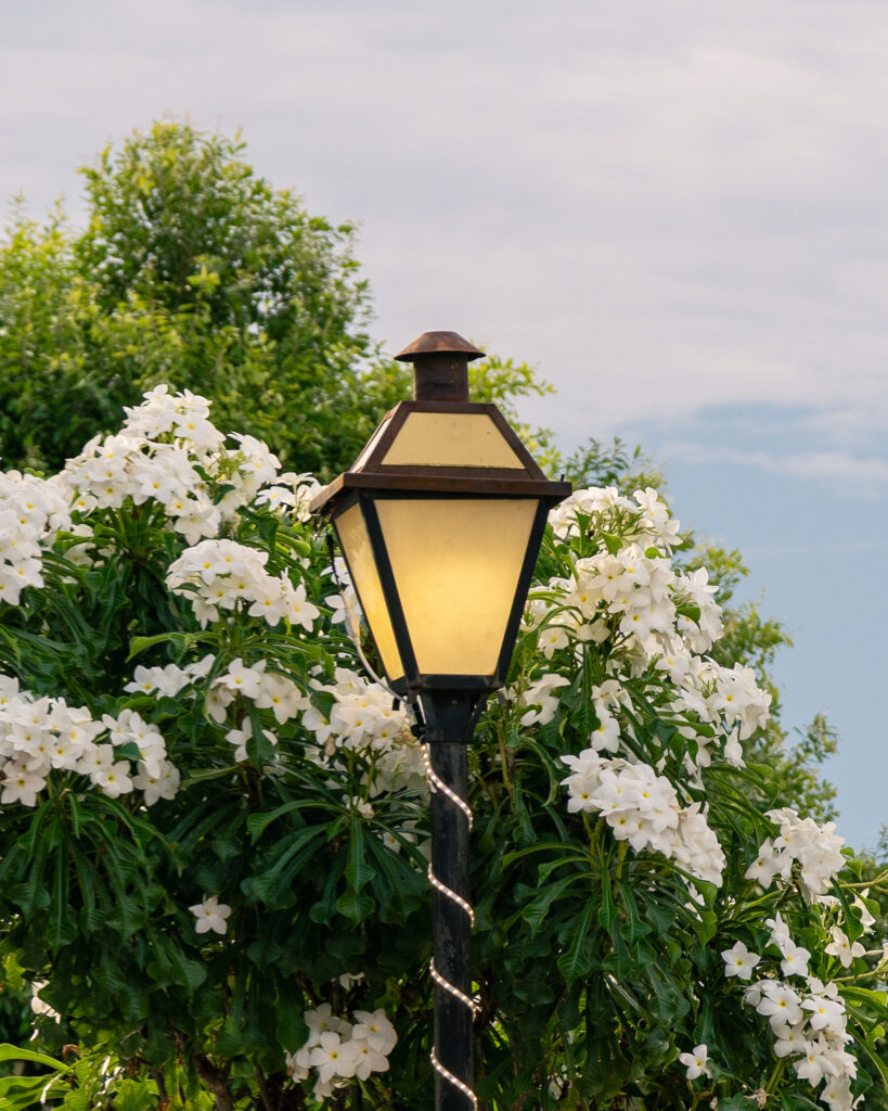 Arquitetura colonial preservada na Rua da Cruz