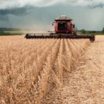 Goiás amplia práticas sustentáveis na agropecuária 4 Goiás amplia práticas sustentáveis na agropecuária