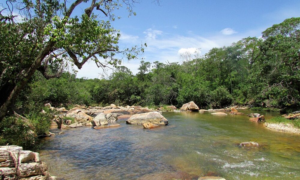 Balneário Praia Grande: lazer, rio e natureza em Piri - piscinas naturais no
