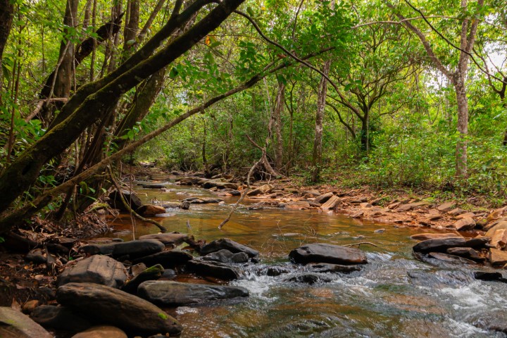 Refúgio Avalon: natureza, lazer e hospedagem a 5 km do centro
