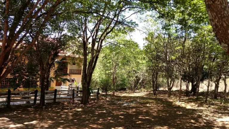 Pousada Aroeiras em Pirenópolis oferece conforto e localização central