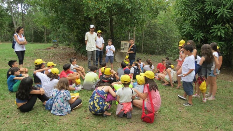 Museu das Lavras de Ouro revela história do garimpo em Pirenópolis - 684b532a91b361b3df5f79bcbbb1ecd0 grande