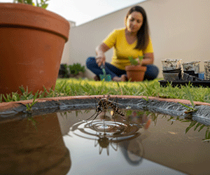 HOME SIDE - GOV DE GOIÁS - PI 019410
