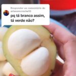 Pequi raro encontrado em Pirenópolis chama atenção