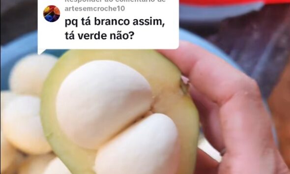 Pequi raro encontrado em Pirenópolis chama atenção