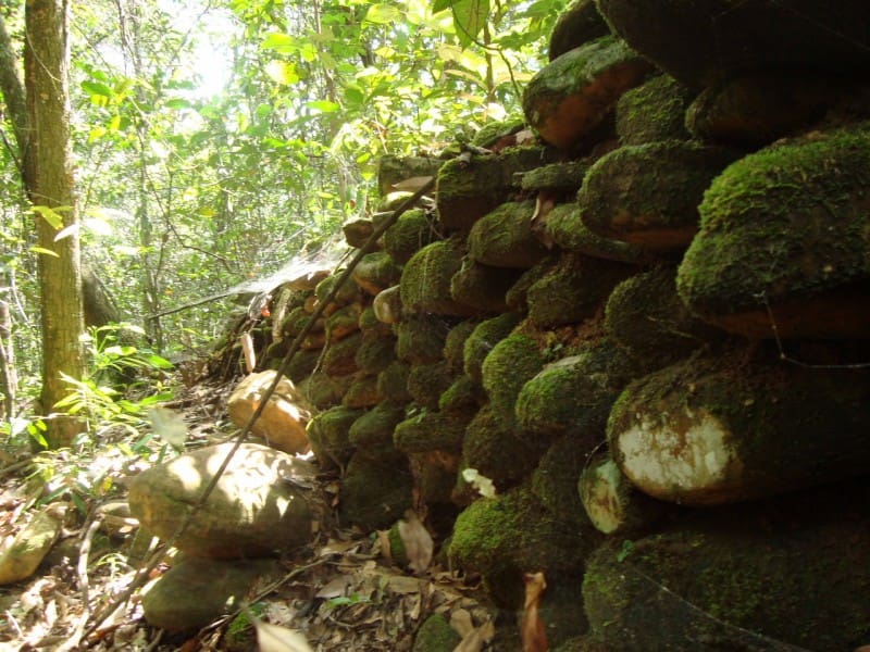 Museu das Lavras de Ouro revela história do garimpo em Pirenópolis - f032c8a1d7a80c01a8efccaeb420f332 grande