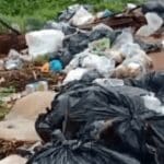 Fala Piri: lixo na GO-070 preocupa moradores da zona rural - imagens pequenas 18