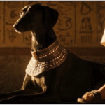 A longa história entre cães e humanos e o papel da castração