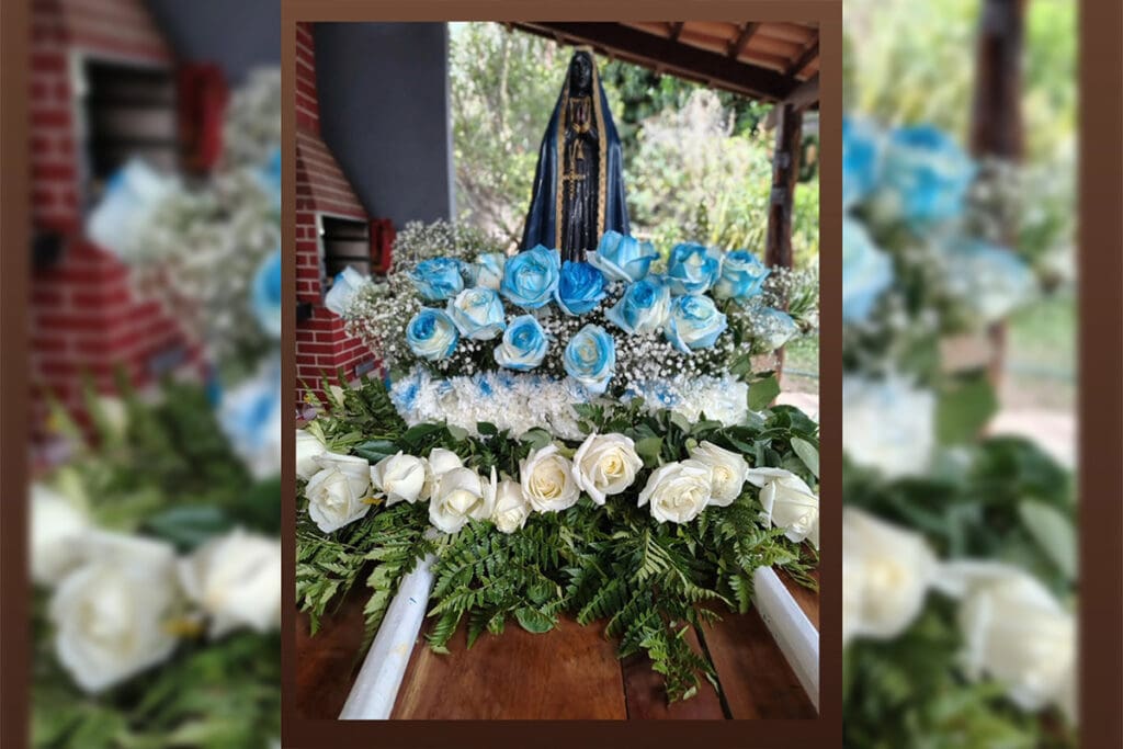 Delina Orquídeas e Plantas em Pirenópolis: natureza e beleza - Andor 💙andor andorcatolico andornossasenhora pirenopolis piri pirenopolis igrejacatolic