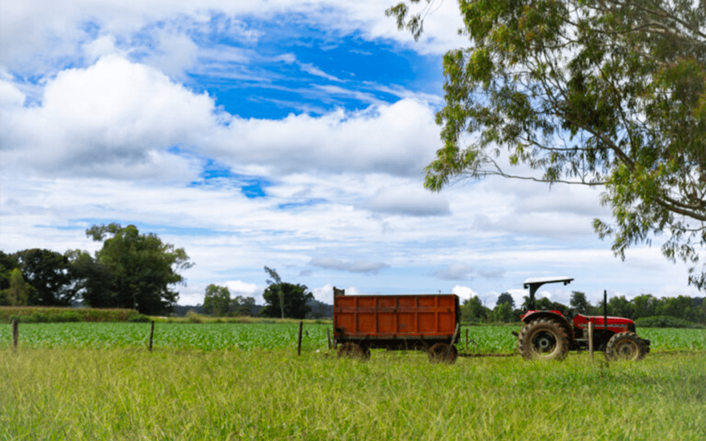 CNPJ automático para produtor rural pessoa física começa em 2026