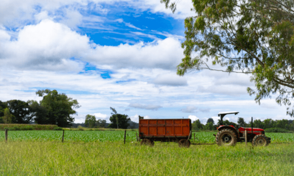 CNPJ automático para produtor rural pessoa física começa em 2026 - CNPJ automatico para produtor rural pessoa fisica comeca em 2026