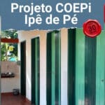 Projeto COEPi Ipê de Pé fortalece ações em Pirenópolis - COEPi anuncia novas acoes com o projeto Ipe de PeCOEPi anunci