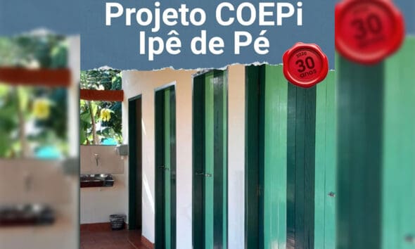 Projeto COEPi Ipê de Pé fortalece ações em Pirenópolis 10 Projeto COEPi Ipê de Pé fortalece ações em Pirenópolis - COEPi anuncia novas acoes com o projeto Ipe de PeCOEPi anunci