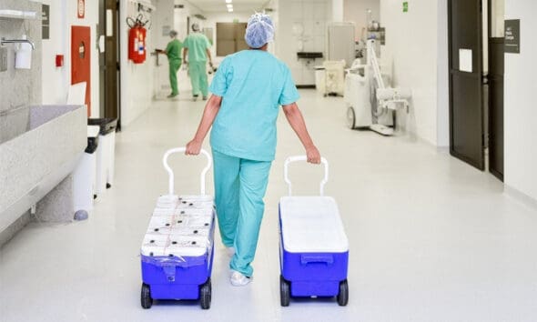 Governo abre inscrições para ampliar notificação de doadores de córneas - Governo abre inscricoes para ampliar notificacao de doadores de corneas