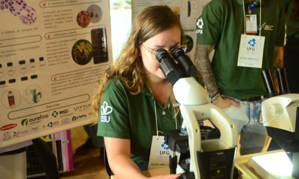 Governo de Goiás investe R$ 13,2 milhões em bolsas de pós-graduação - Governo de Goias investe R 132 milhoes em bolsas de pos graduacao