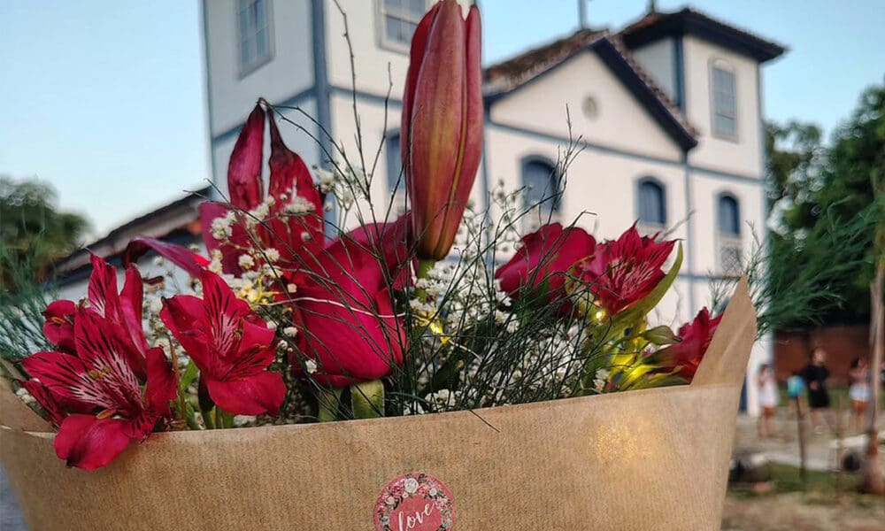 Delina Orquídeas e Plantas em Pirenópolis: natureza e beleza - Pirenopolis Ha 298 anos sendo a cidade mais charmosa de Goias 🌿🍃 🏞️⛪Viva Piri 💐🎉 aniver