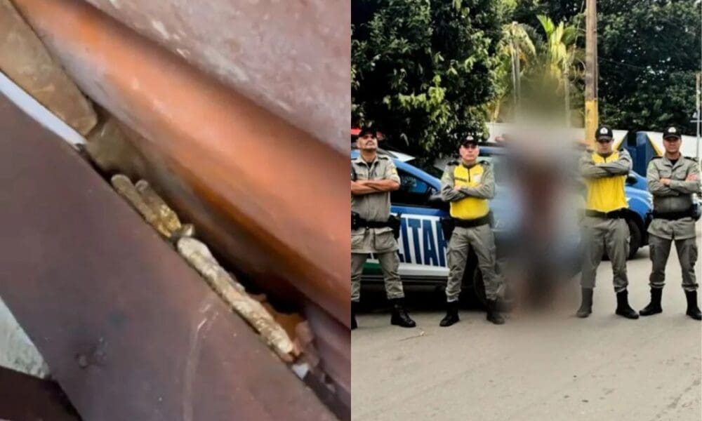 PM descobre ponto de tráfico no Alto do Bonfim, em Pirenópolis