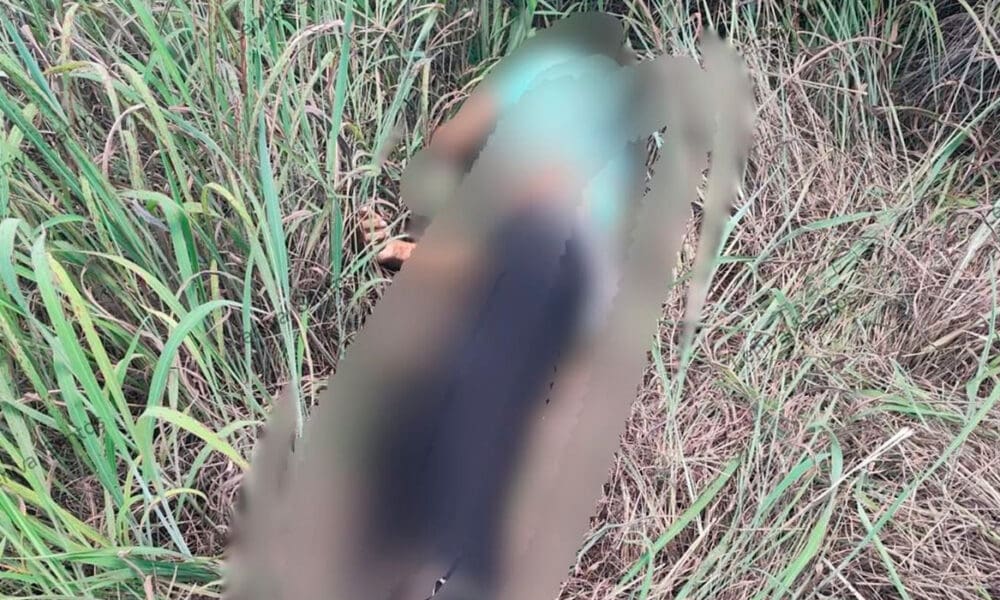 Corpo de homem é encontrado com marcas de tiros na GO-225