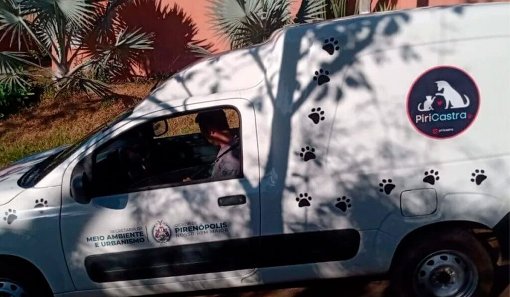 Educação e bem-estar animal fortalecem Pirenópolis em 2026