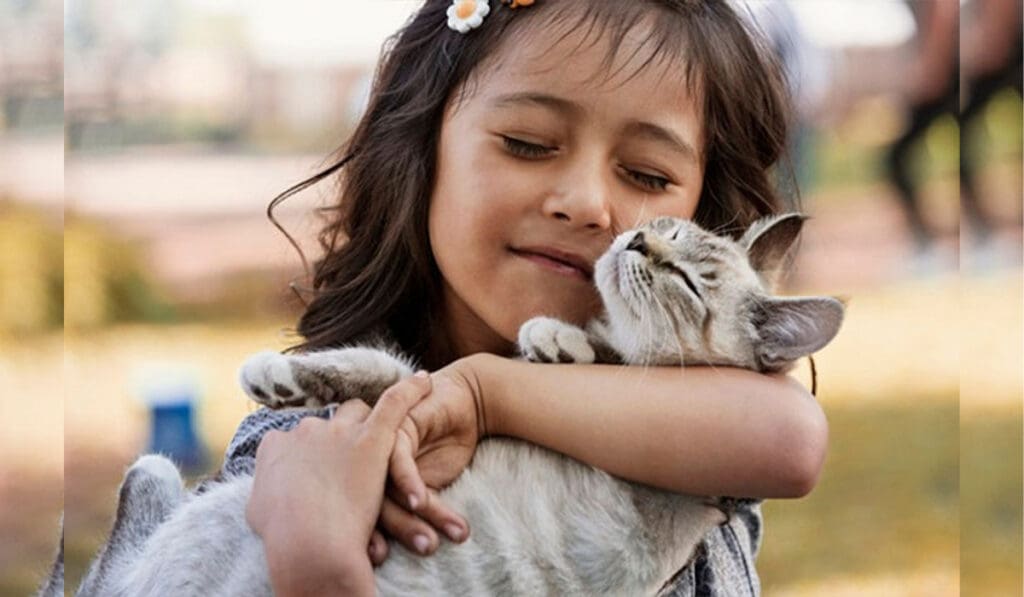Educação e bem-estar animal fortalecem Pirenópolis em 2026
