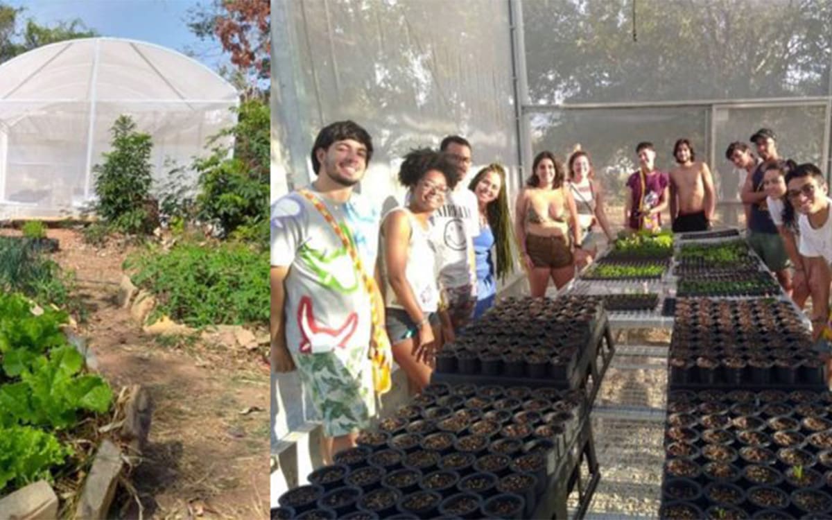 Oca da Terra em Pirenópolis: como funciona o museu da COEPi