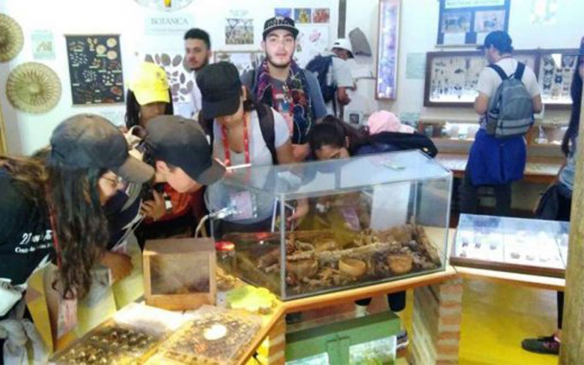 Oca da Terra em Pirenópolis: como funciona o museu da COEPi