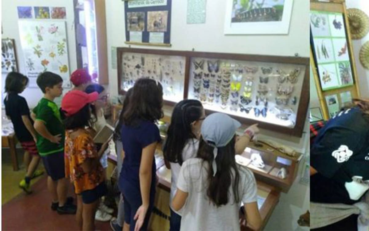 Oca da Terra em Pirenópolis: como funciona o museu da COEPi