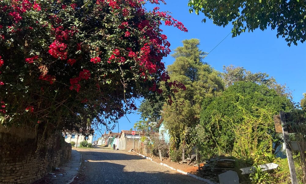 Rua de pedra em Pirenópolis ganha moldura florida