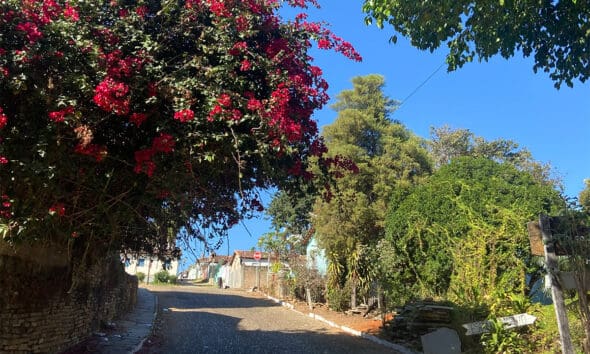 Rua de pedra em Pirenópolis ganha moldura florida Rua de pedra em Pirenópolis ganha moldura florida