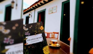 Terapias Detox: livro de Wellington Lee Schetinger em Piri