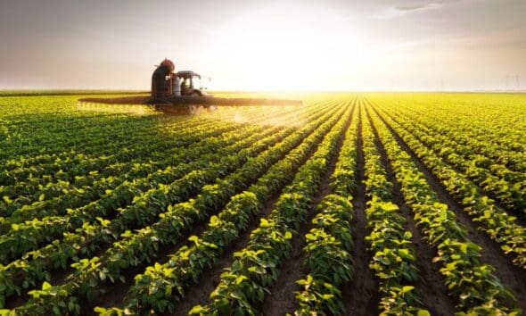 Balança comercial de Goiás encerra 2025 com superávit de 20% Balança comercial de Goiás encerra 2025 com superávit de 20%