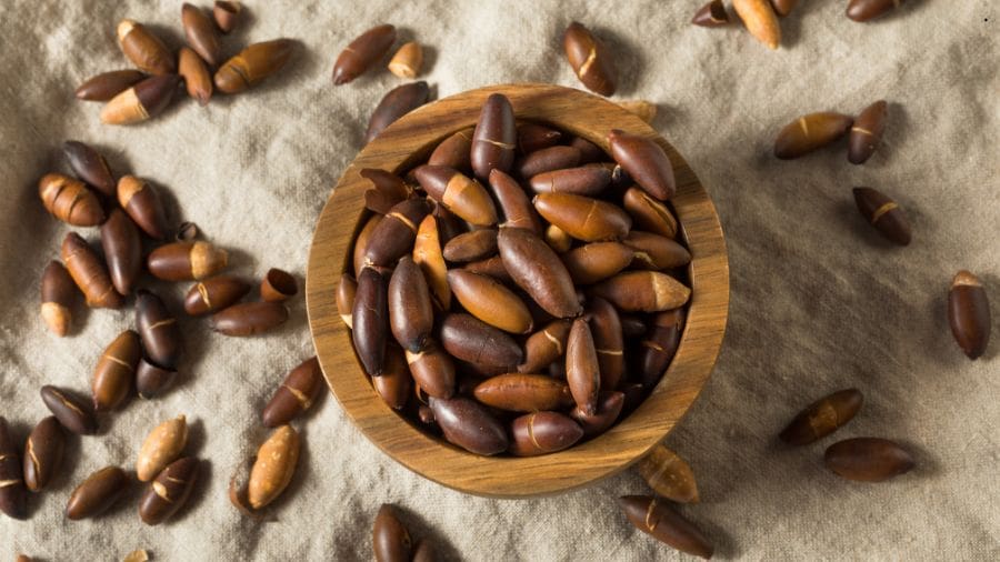 Além dos pratos elaborados, é comum encontrar a castanha torrada em feiras e lojas