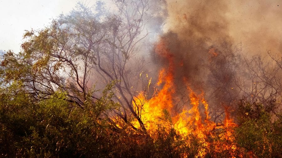 O manejo integrado do fogo é uma abordagem baseada em estudos científicos que considera o papel do fogo como parte da dinâmica natural de determinados ecossistemas