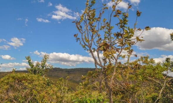 O encanto da paisagem do Cerrado goiano em Pirenópolis