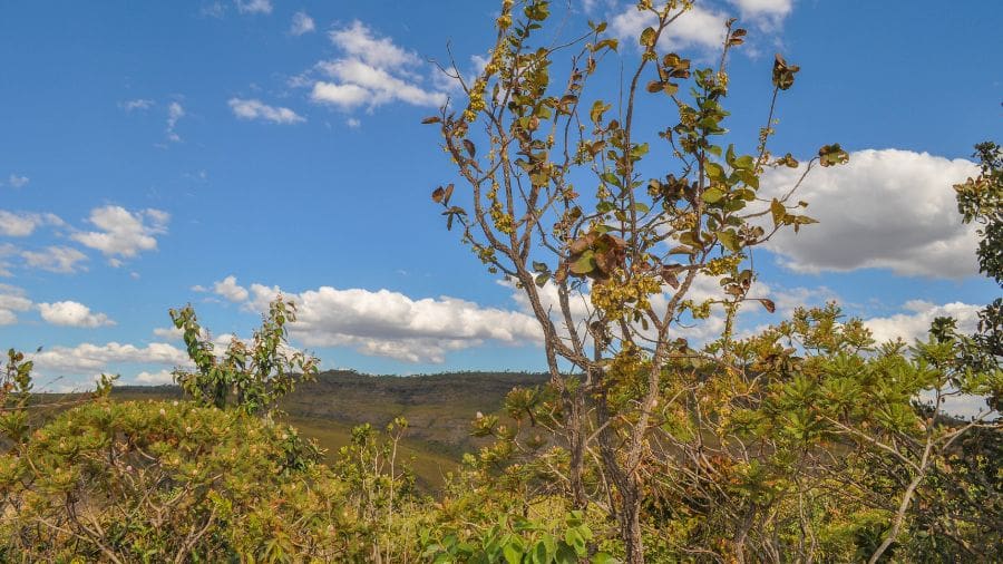 O encanto da paisagem do Cerrado goiano em Pirenópolis
