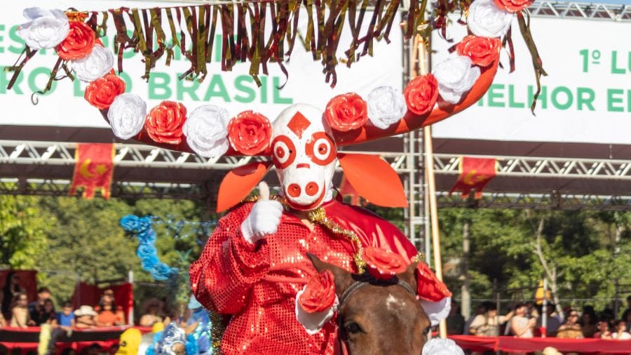 O mascarado que anuncia os 200 anos das Cavalhadas