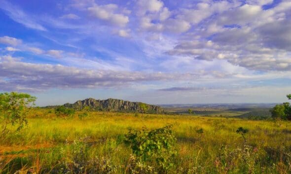 Morro do Cabeludo e sua paisagem única no Cerrado