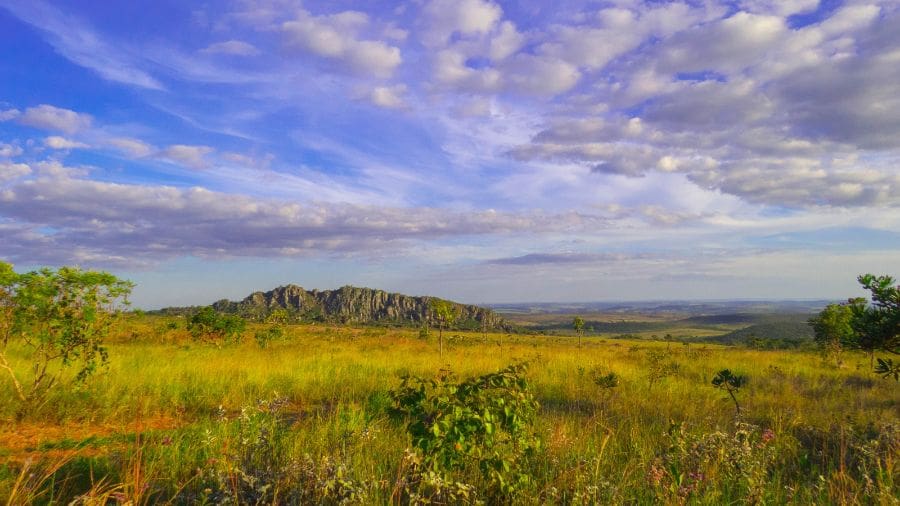 Morro do Cabeludo e sua paisagem única no Cerrado