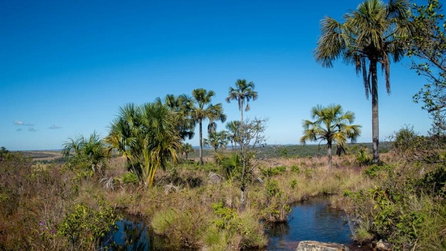 Natureza revela o Oásis no Parque Estadual dos Pireneus
