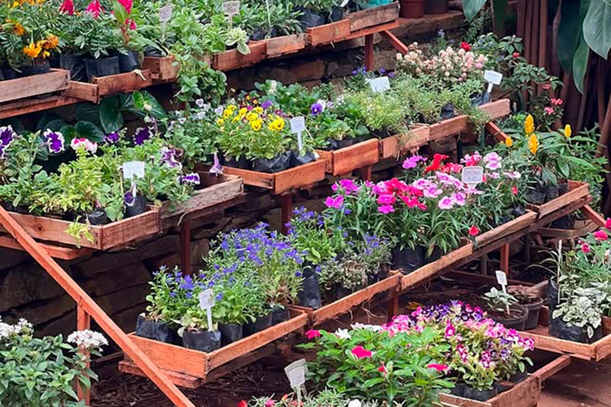 Botica Caipira em Pirenópolis: Plantas ornamentais e paisagismo