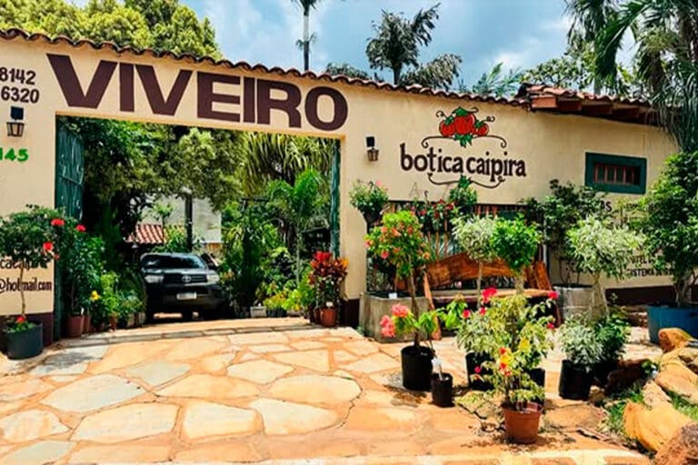 Botica Caipira em Pirenópolis: Plantas ornamentais e paisagismo