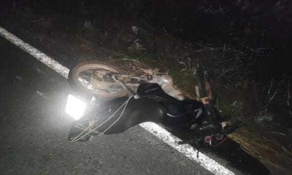 Motociclista morre em acidente na GO-338 neste sábado Motociclista morre em acidente na GO-338 neste sábado