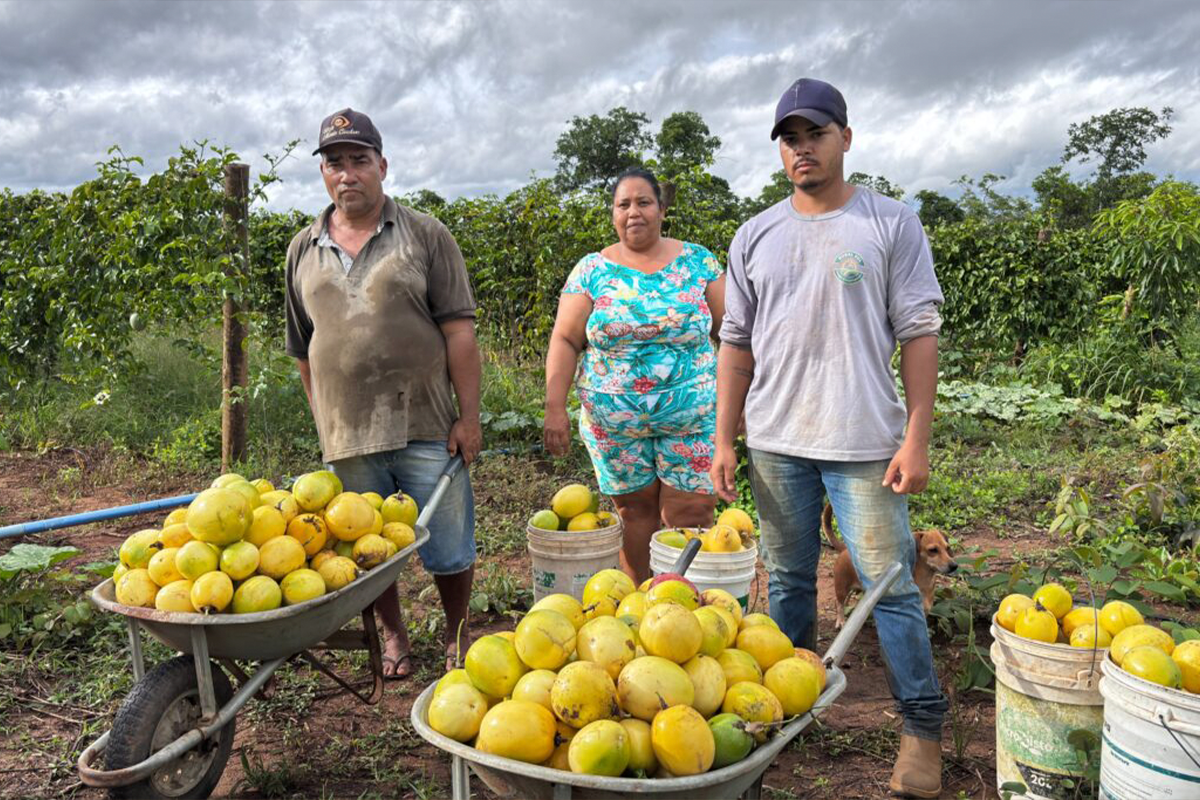 Agricultura familiar movimenta R$ 93 milhões em Goiás